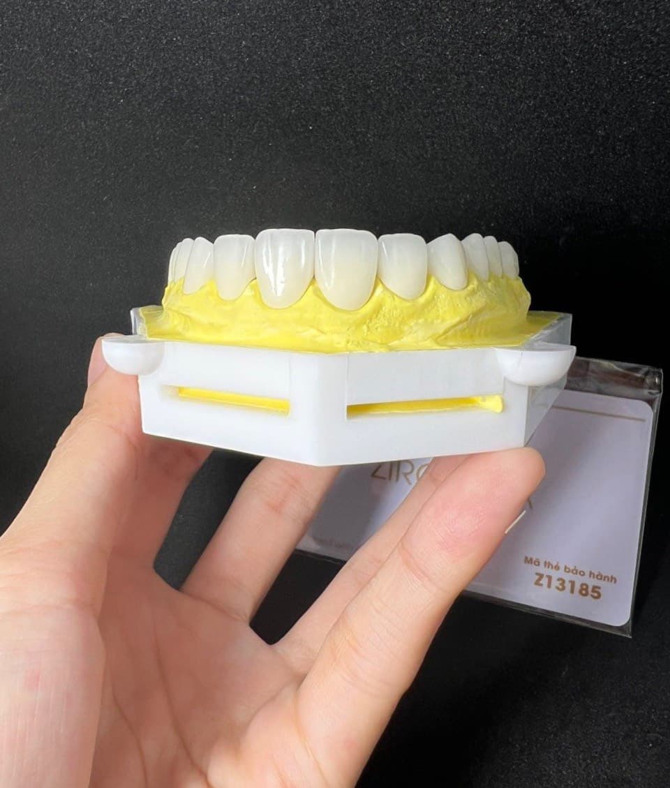 Phục hình tháo lắp 1